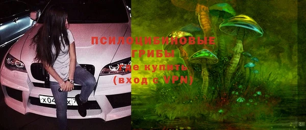 скорость Алексин