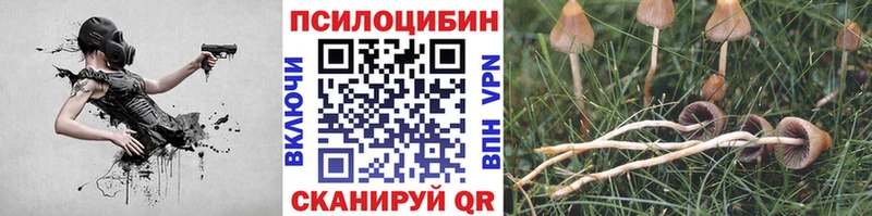 где купить наркотик  Сосновка  Галлюциногенные грибы мухоморы 